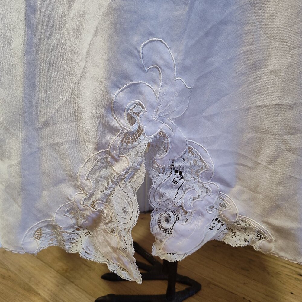Petal Pink Lace Slip - Picture 4 of 5